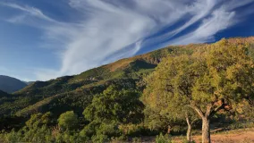 La Zagaleta plot for sale