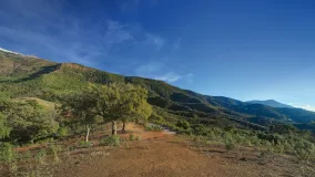 La Zagaleta plot for sale