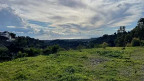 Comprar parcela en La Panera