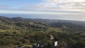 For sale commercial premises in La Mairena