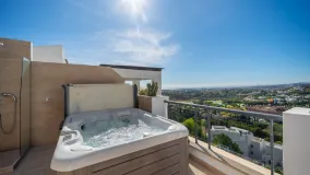 Buy 2 bedrooms penthouse in Los Flamingos