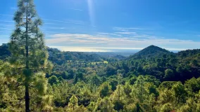 Benahavis plot for sale