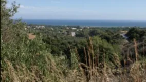For sale Elviria plot