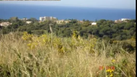 For sale Elviria plot
