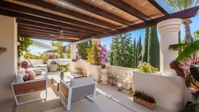 3 bedrooms duplex penthouse in Las Alamandas for sale