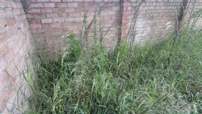 For sale plot in Marbella Centro