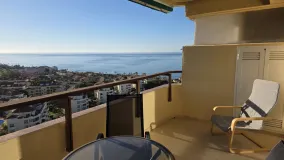 Don Carlos studio for sale