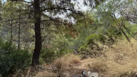 For sale Benahavis Centro plot