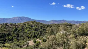 For sale New Golden Mile plot