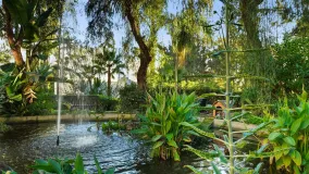 For sale 2 bedrooms duplex penthouse in Eden Hill