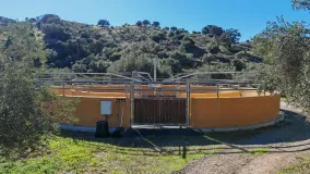 Finca for sale in Coin with 12 bedrooms