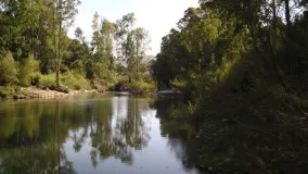 For sale plot in Estacion de Gaucin