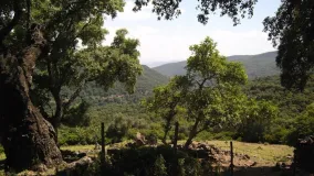 For sale plot in Estacion de Gaucin
