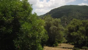 For sale plot in Estacion de Gaucin