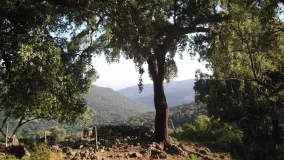 For sale plot in Estacion de Gaucin