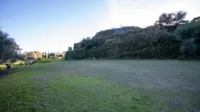 For sale Los Flamingos plot