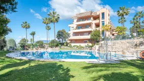 For sale 3 bedrooms ground floor apartment in Magna Marbella