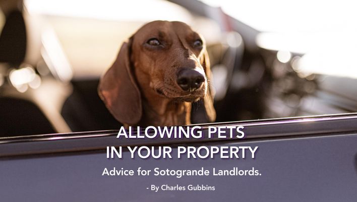 Allowing Pets in your Sotogrande Property: Advice for LANDLORDS.