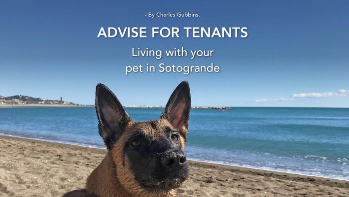 Living with your pet in Sotogrande 1