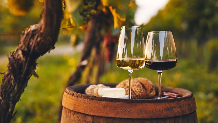 wine tasting experience in Marbella