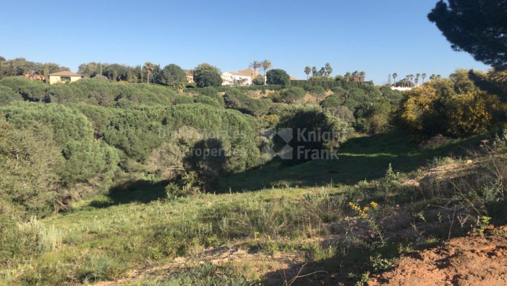Plot with licence for sale in Sotogrande