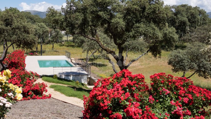 Hacienda contemporánea en The Wine and Country Club - Villa en venta en Ronda