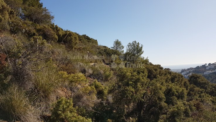Zwei Grundstücke mit Aussicht in El Madroñal - Grundstück zum Verkauf in El Madroñal, Benahavis