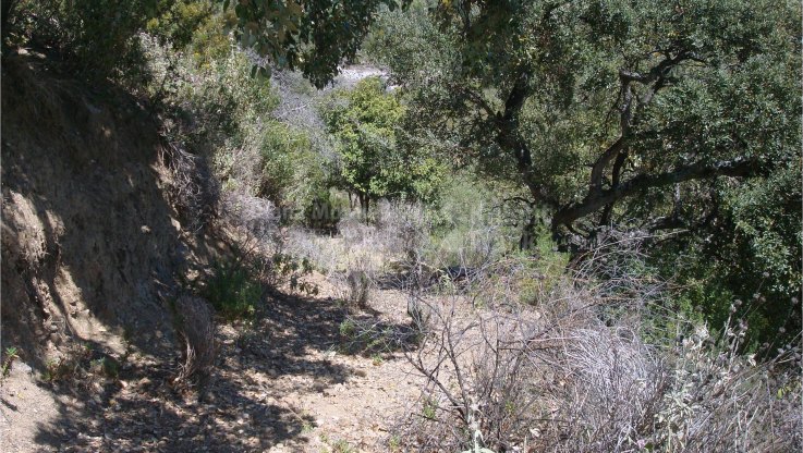 Erhöhtes Baugrundstück mit spektakulärer Aussicht - Grundstück zum Verkauf in La Zagaleta, Benahavis