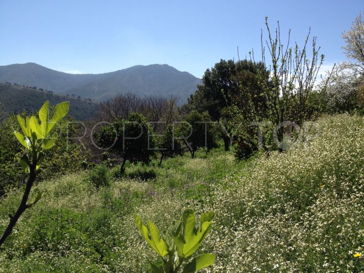 Plot in Jubrique for sale | Campomar Real Estate