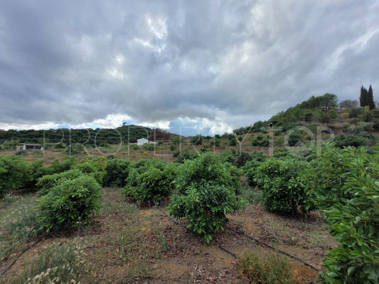 Plot for sale in Coin | Henger Real Estate