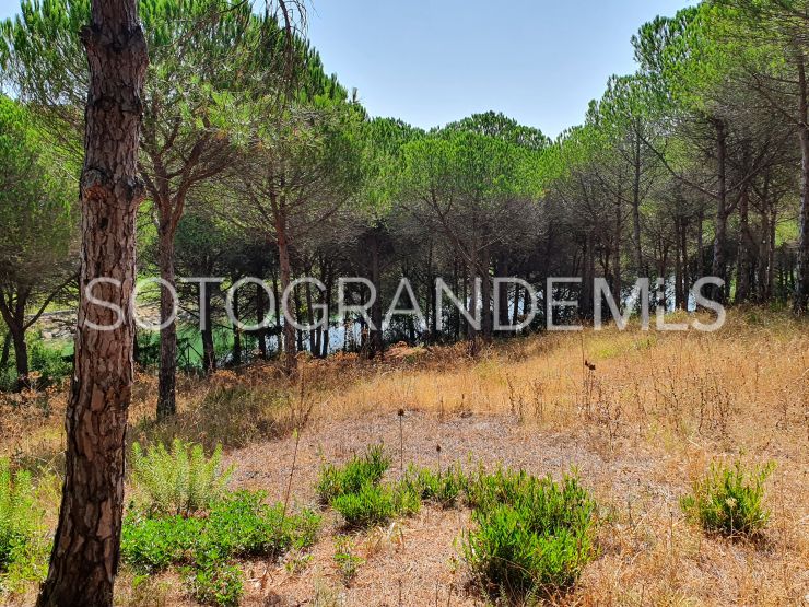 Plot for sale in Sotogrande Alto | Sotogrande Properties by Goli