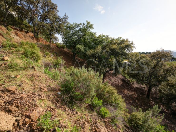 Parcela a la venta de en La Zagaleta, Benahavis | Terra Meridiana