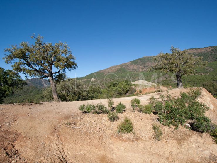 Parcela a la venta en La Zagaleta de | Terra Meridiana