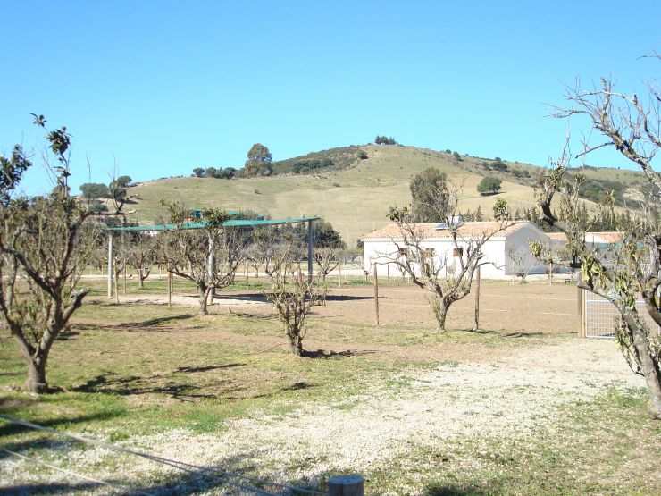 San Martin del Tesorillo 4 bedrooms finca for sale | Savills Sotogrande
