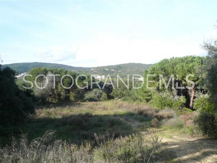 Sotogrande Alto plot for sale | James Stewart - Savills Sotogrande