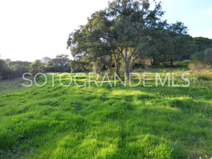 For sale Los Altos de Valderrama plot | James Stewart - Savills Sotogrande