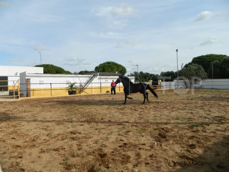 Finca with 7 bedrooms in Chiclana de la Frontera | KS Sotheby's International Realty