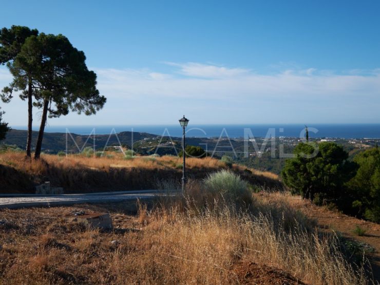 Monte Mayor plot for sale | Amrein Fischer