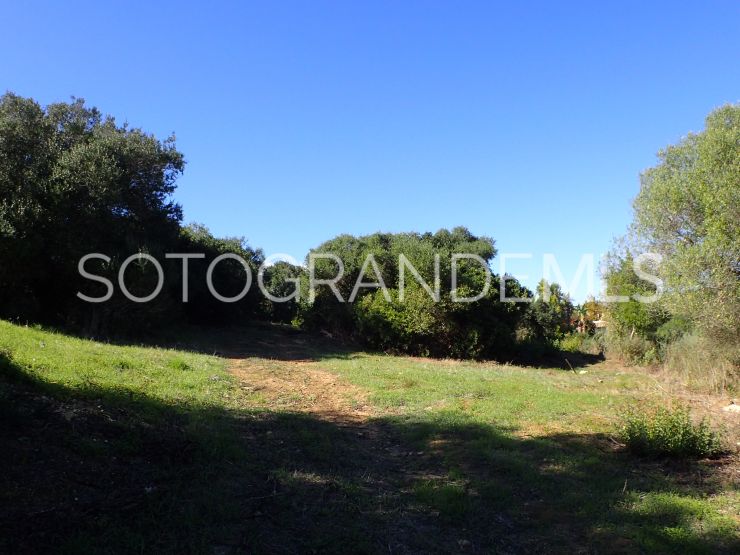 Sotogrande Alto, parcela a la venta | Consuelo Silva Real Estate