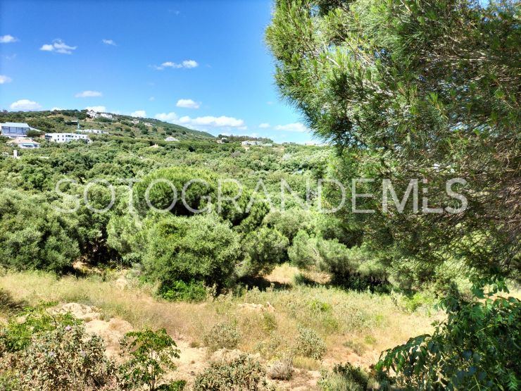 Plot for sale in Sotogrande Alto | Consuelo Silva Real Estate