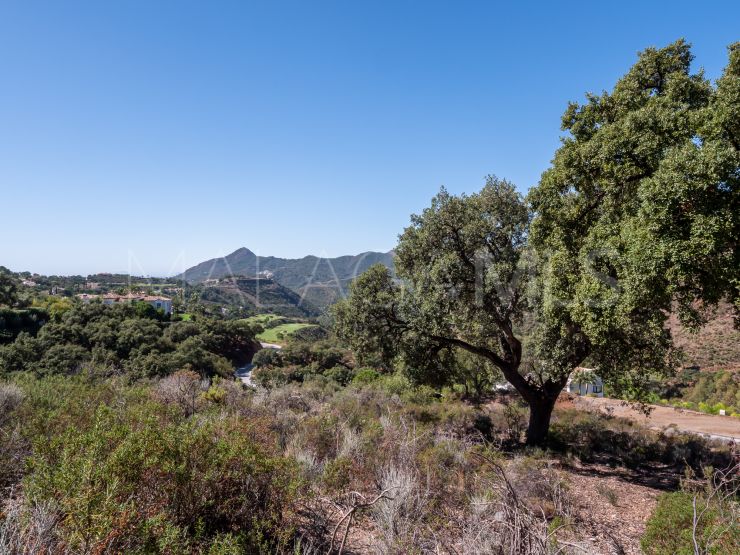 Comprar parcela en La Zagaleta, Benahavis | Cleox Inversiones