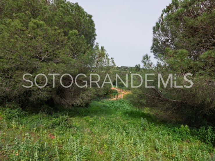 Zona G, Sotogrande Alto, parcela a la venta | Noll Sotogrande