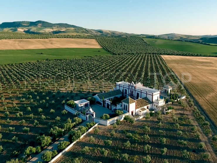Palace in Montellano | Berkshire Hathaway Homeservices Marbella