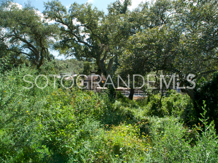 For sale plot in Los Altos de Valderrama, Sotogrande Alto | Gisèle André Soto