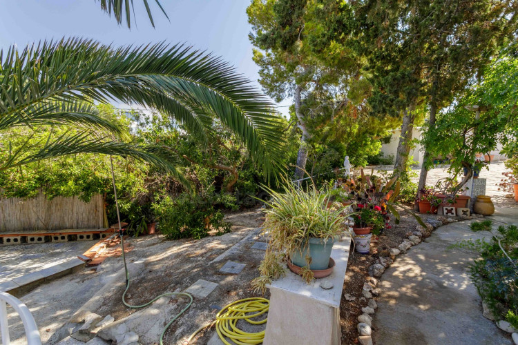 Detached chalet with big garden near the sea