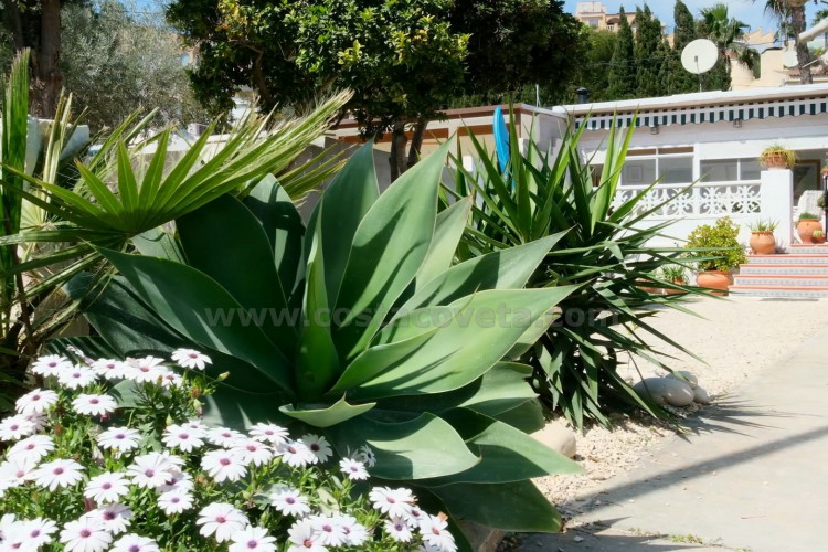 Mini-bungaló muy del mar con amplia terraza soleada y gran potencial de ampliación