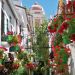 Estepona Centre