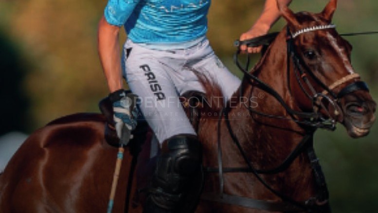 POLO SOTOGRANDE