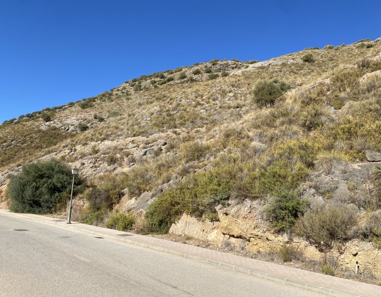 Urban plot for a single-family home in Sierra Gorda Coín (Malaga).