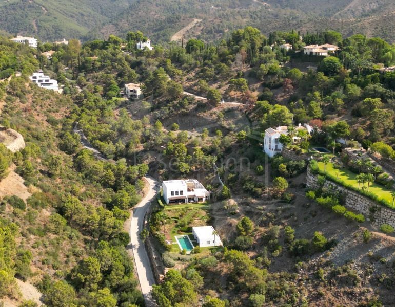 Villa à vendre dans El Madroñal, Benahavis